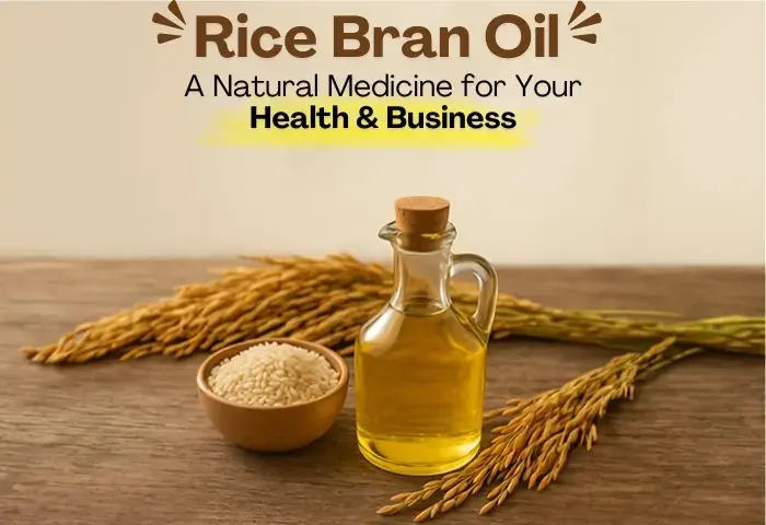 Rice bran cooking oil benefits