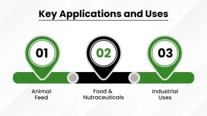 Key applications and uses of de-oiled rice bran