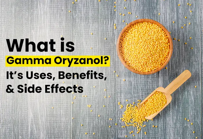 gamma oryzanol uses benefits and side effects