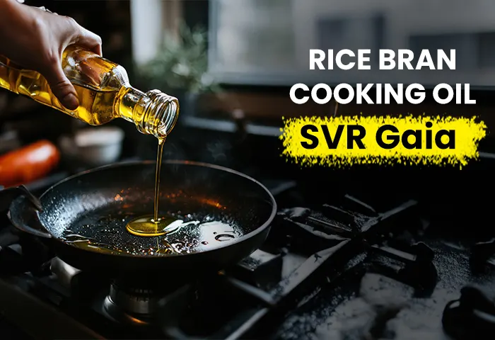 Rice bran cooking oil - SVR Gaia