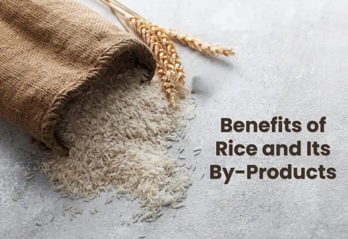 Benefir of rice and it's by products