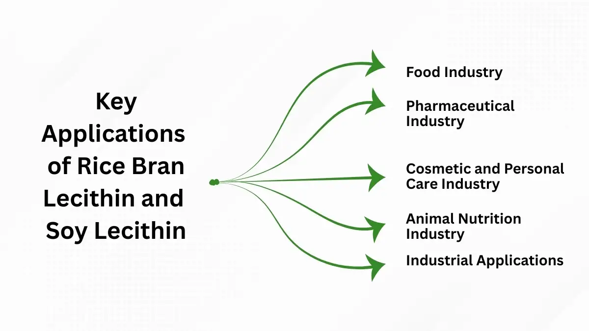 uses of rice bran lecithin and soy lecithin